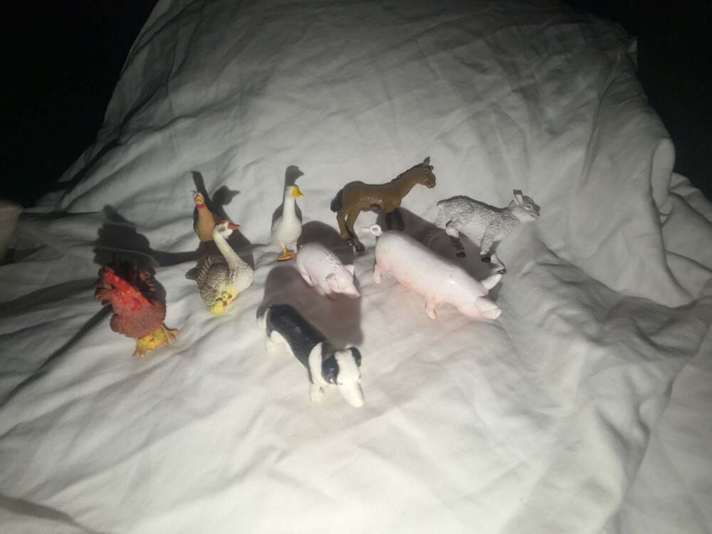 Set of 9 Assorted Miniature Plastic Farm Animal Figurines teachers